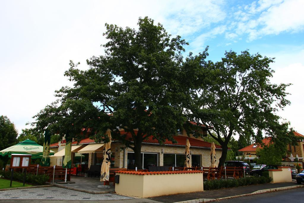 BükAurora Panzio住宿加早餐旅馆 外观 照片